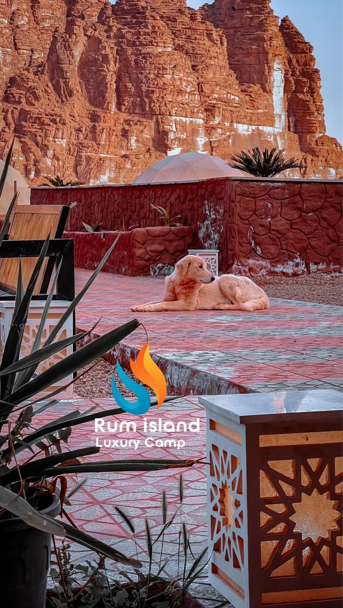 Rum Island Luxury Camp & Bubbles Hotel Wadi Rum Buitenkant foto